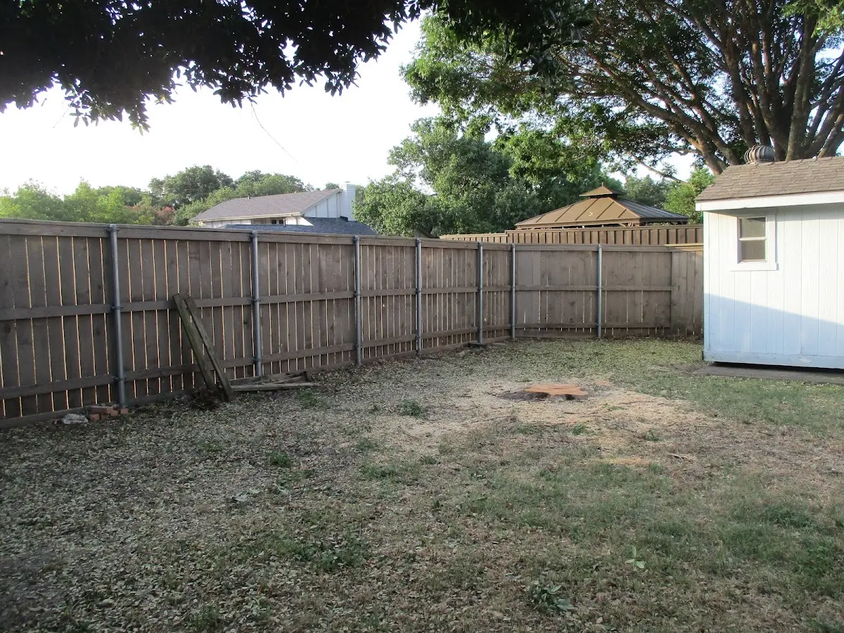Cleared yard after professional tree removal in Newbury Park